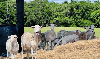 2120 15th Way, Bell, FL 32619