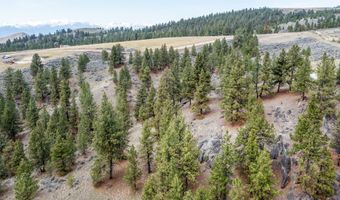 Tract 273 Sapphire Ranch Trail, Corvallis, MT 59828