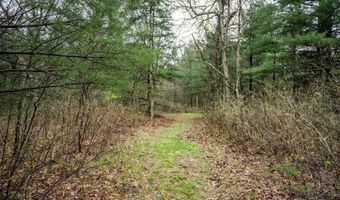 1581 Evergreen Ave, Adams, WI 53910