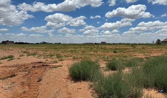 SE CR 2870, Andrews, TX 79714