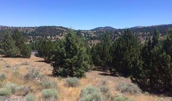 0 Adam Rd, Canyon City, OR 97820