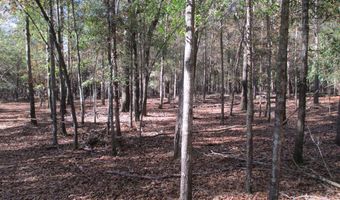 Hillside Drive, Americus, GA 31709