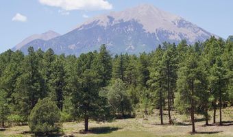 28111 County Rd 41.4, Aguilar, CO 81020