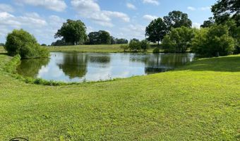 2665 Mt. Carmel Rd, Altoona, AL 35952