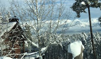 1173 Cygnet Trl, Bigfork, MT 59911