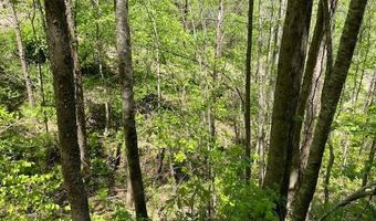 9999 Hooker Branch Rd, Barbourville, KY 40906