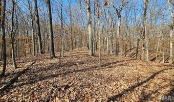 205 Hemsath Rd, Augusta, MO 63332
