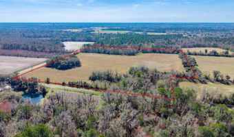 NW County Road 22, Alachua, FL 32615