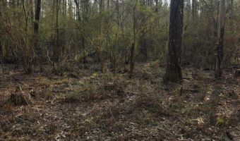 U.S. Highway 51, Bogue Chitto, MS 39629