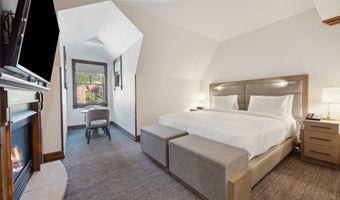 415 E Dean St Unit 48 Week 31, Aspen, CO 81611