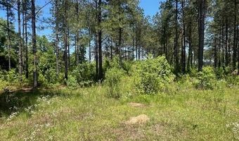 2423 A East Lincoln Rd, Brookhaven, MS 39601