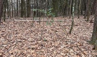 907 Stephanie Ln, Athens, TN 37303