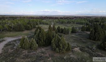 TBD 40 AC Arcadia Road, Ashton, ID 83440
