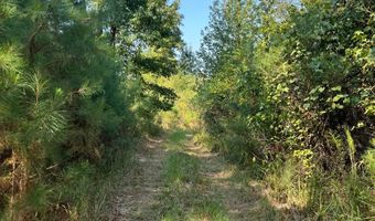 0 Nick Creek Rd, Bernice, LA 71222