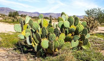 22055 W Sunrise Rd, Congress, AZ 85332