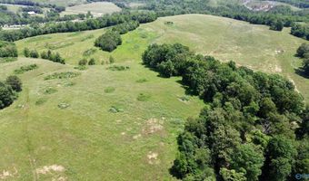 120 Carnes Chapel Rd, Attalla, AL 35954