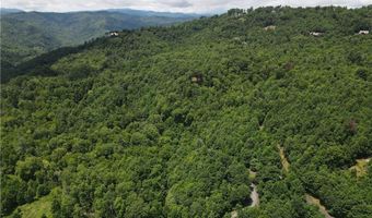 Beaver Dam Road lot 99, Banner Elk, NC 28604