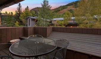 650 S Monarch St 4, Aspen, CO 81611