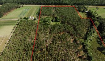 9027 GA HWY 144 NE, Baxley, GA 31513