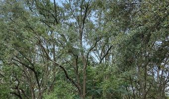 3670 25th Cir, Bell, FL 32619