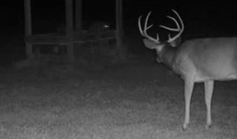 001 CR 532, Avalon, MS 38917