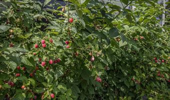 65 W Clara Ct, Bozeman, MT 59718