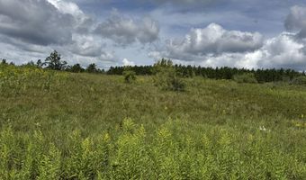 V/L13.25AC Co Rd 612 & Ann Arbor Rd, Lewiston, MI 49756