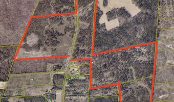 0 NEELY WINGARD Rd, Leesville, SC 29070
