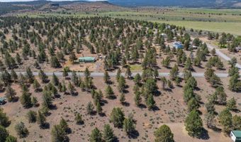 1742 Grande Rd, Alturas, CA 96101
