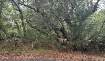 8 Leopard Frog Ct Lot 18, Bald Head Island, NC 28461