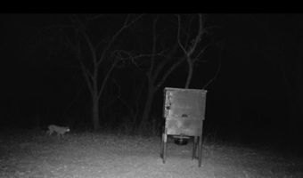 2011 County Road 1590, Alvord, TX 76225