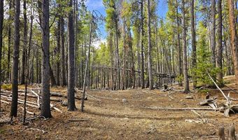 PCS # 7765 & 12057 Rollies Trail lot 0, Alma, CO 80420