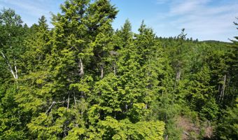 Lot 39 Southwest Brook Lane, Beddington, ME 04622