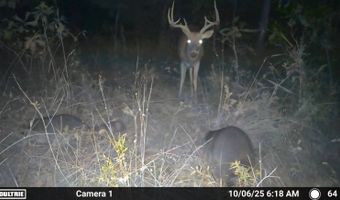 N80 Helt Rd, Antlers, OK 74525