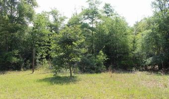 5929 Nichols Rd, Bascom, FL 32423