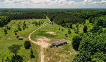 303 Westwood Rd NW, Alden, MI 49612