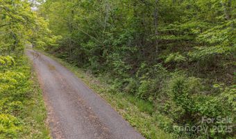 Buena Vista Drive unit 25 25, Barnardsville, NC 28709