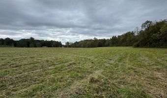 X Miller Gap Road 44 Ac, Ararat, NC 27007