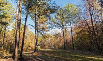 1374 E HIGHWAY 280 Lot 1374, Alexander City, AL 35010