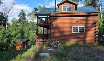 1407 Clarke Mountain Ln, Antonito, CO 81120