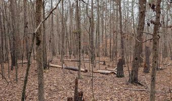 Lots B & C Miller Road, Camden, SC 29020
