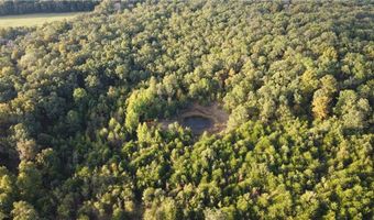 10 Acres CR 9204, Alpena, AR 72611
