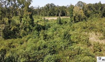 MILTON WHITE ROAD, Bastrop, LA 71220