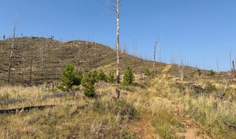 Pine Acres Rd, Bellvue, CO 80512