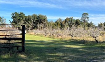 18250 RAVENSWOOD Rd, Altoona, FL 32702