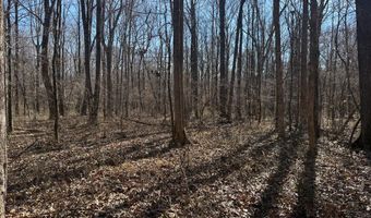 Cr 127, Abbeville, MS 38601