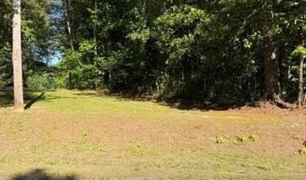 Main St and Hwy 1, Alberta, VA 23821