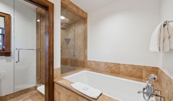 415 E Dean St. Unit 3 Week 11, Aspen, CO 81611