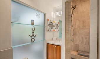 650 S Monarch St 9, Aspen, CO 81611