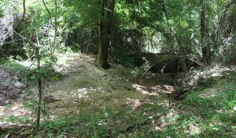00 Pinola Braxton Rd, Braxton, MS 39044